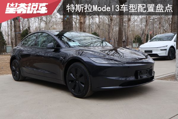 3车型配置盘点：入门级最受欢迎冰球突破技巧特斯拉Model(图17)